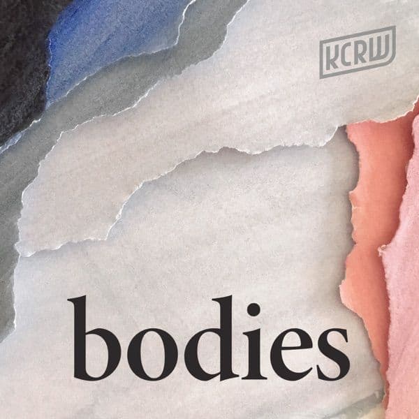 Bodies