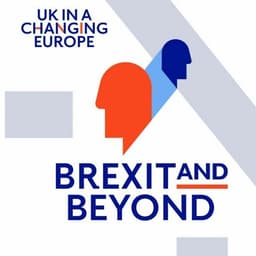 Brexit and Beyond