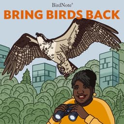 Bring Birds Back