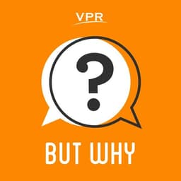 But Why: A Podcast for Curious Kids