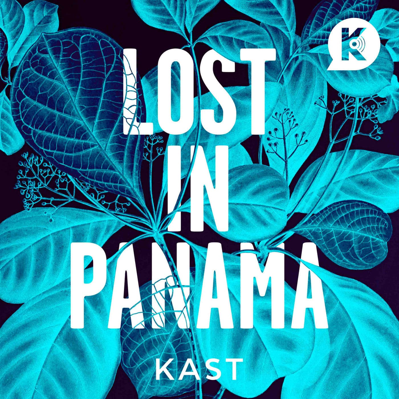 Lost In Panama