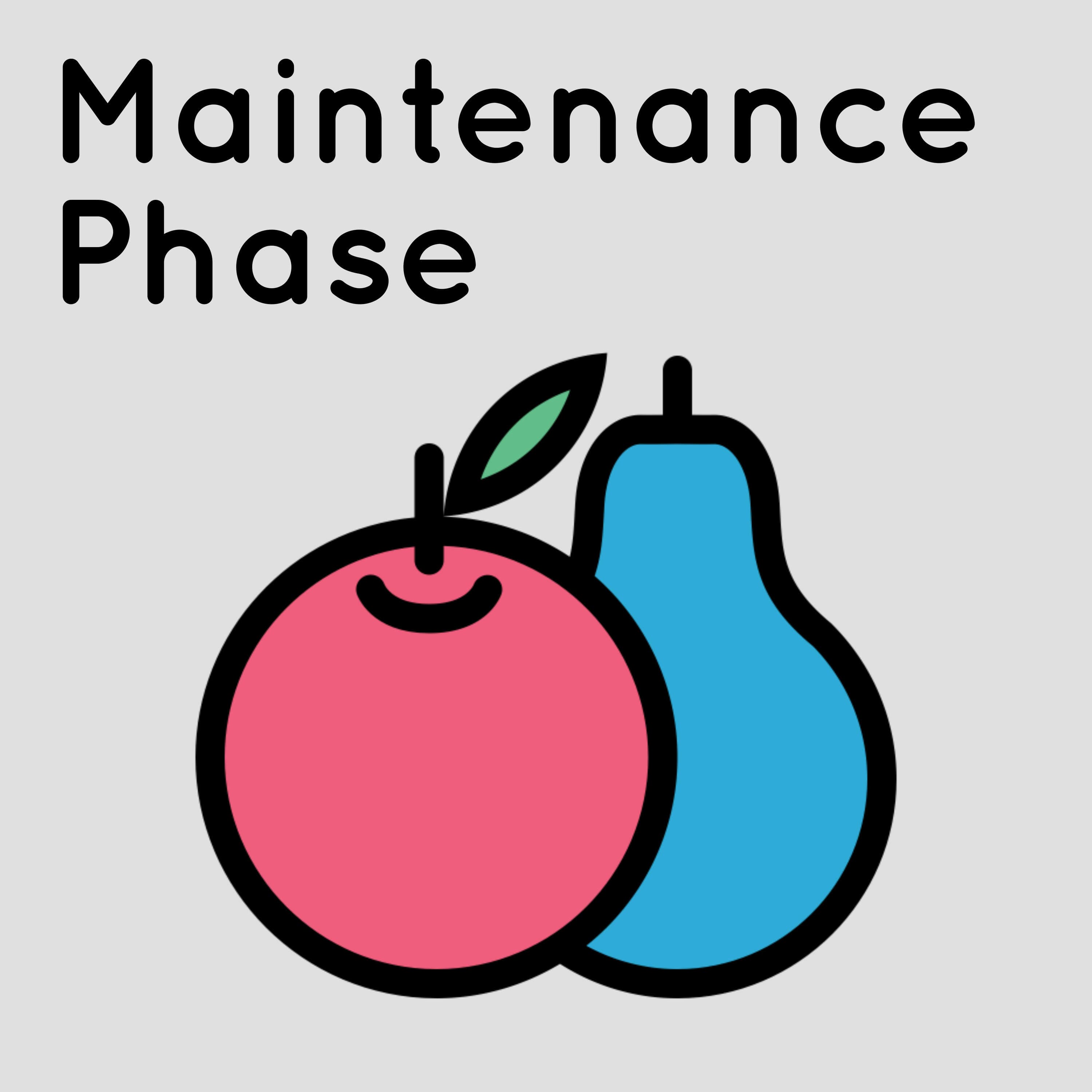 Maintenance Phase