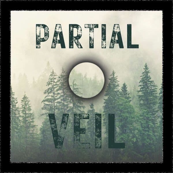 Partial Veil