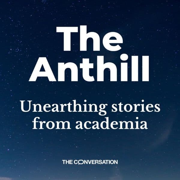 The Anthill