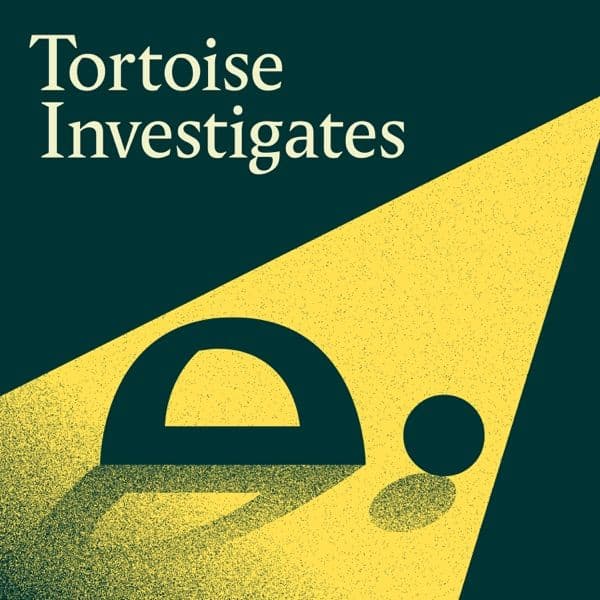 Tortoise Investigates (Various Seasons)