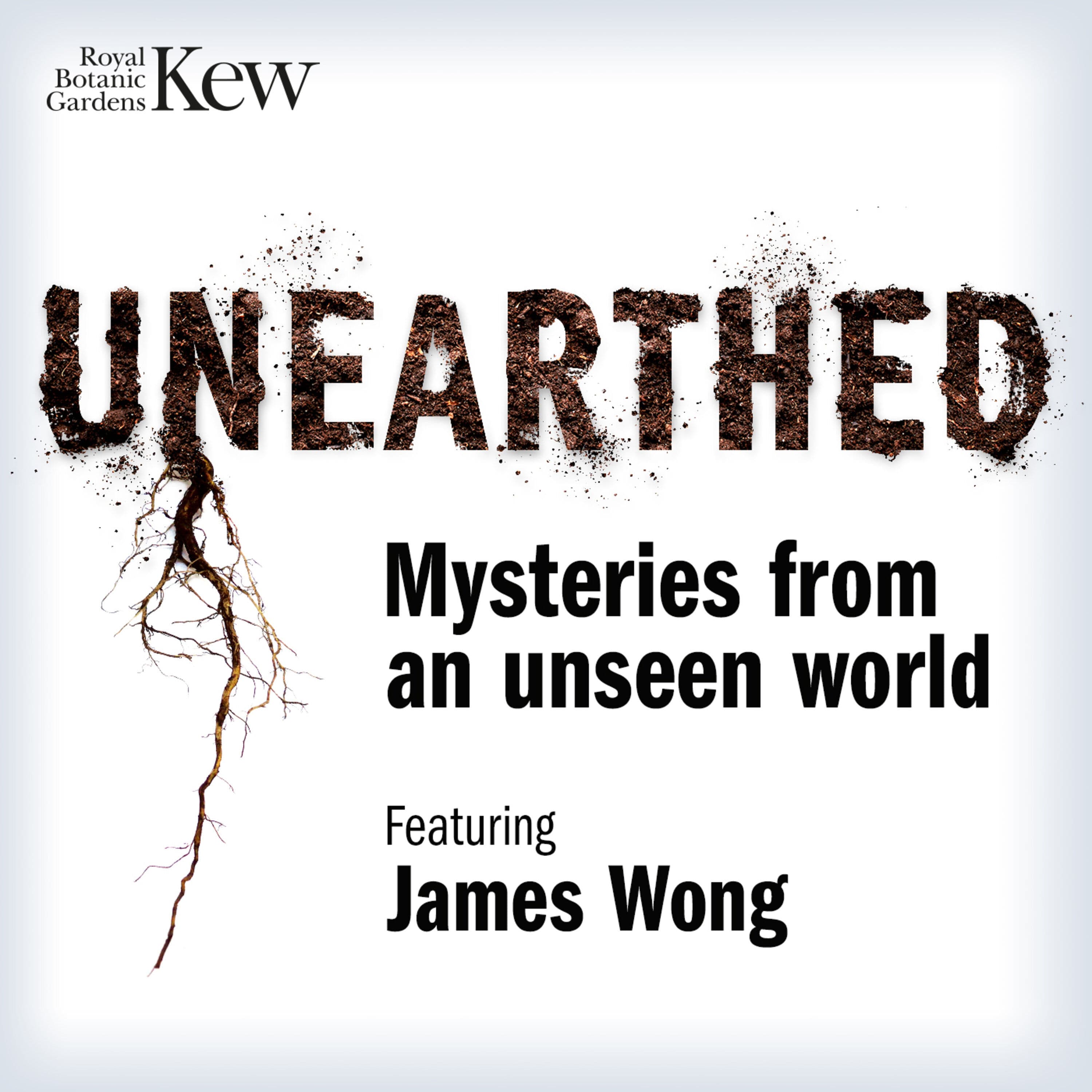 Unearthed - Mysteries from an unseen world