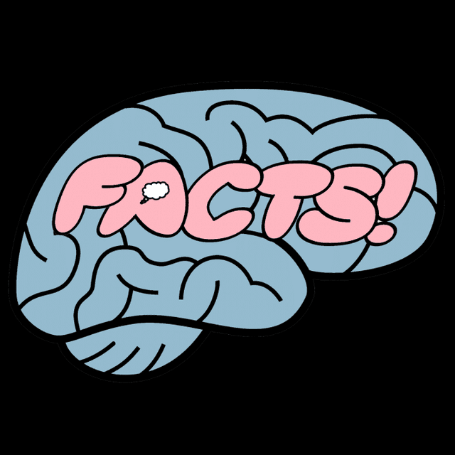 Your Brain on Facts