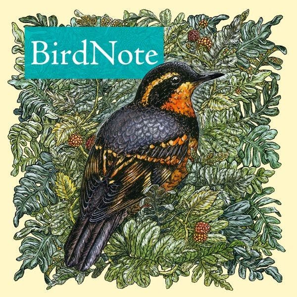 BirdNote