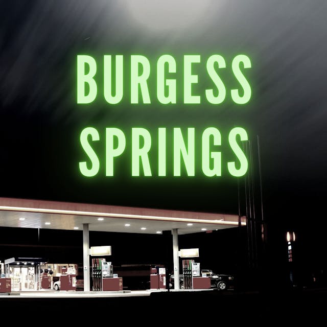 Burgess Springs