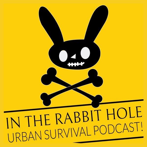 In The Rabbit Hole: Urban Survival