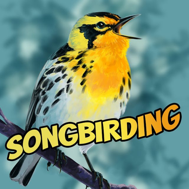 Songbirding