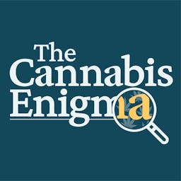 The Cannabis Enigma