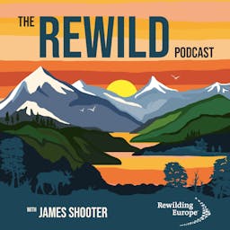 The Rewild Podcast