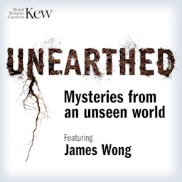 Unearthed - Mysteries from an unseen world