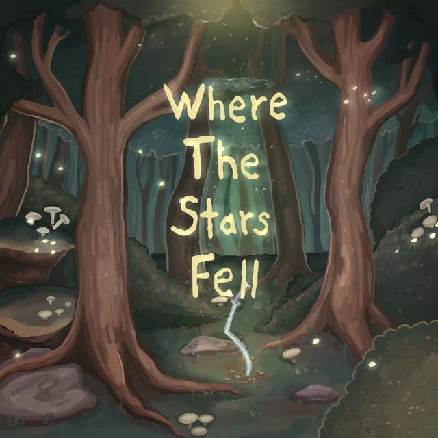 Where The Stars Fell